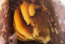 У Павлограді біля школи комунальники виявили незвичну знахідку