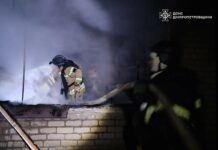 Ворог атакував Павлоград безпілотниками: виникла пожежа у дачному кооперативі