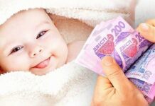 Що передбачає допомога «єЯсла» і хто зможе її отримати?