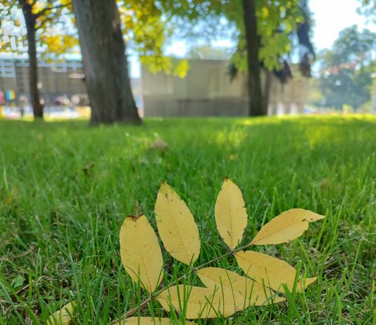 Якою буде погода у Павлограді у перший тиждень осені?