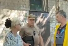 У Павлограді жінка утримувала в квартирі 5 собак: чотирилапі жили серед сміття