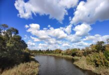 Якою буде погода у Павлограді на цьому тижні?