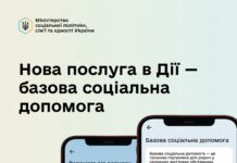 Як оформити базову соціальну допомогу онлайн?