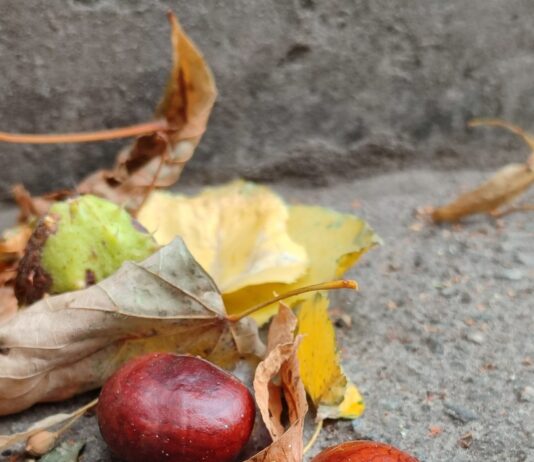 Якою буде погода у Павлограді на цьому тижні?