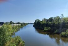 Якою буде погода у Павлограді на цьому тижні?