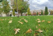 Якою буде погода в Павлограді на цьому тижні?