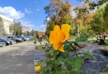 Фонтан у Дитячому парку Павлограда «законсервували» на зиму