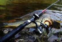 З 1 листопада на Дніпропетровщині починається заборона лову на зимувальних ямах