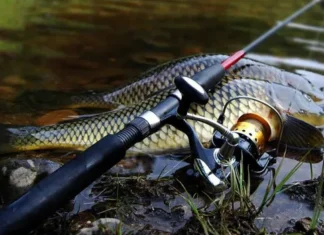 З 1 листопада на Дніпропетровщині починається заборона лову на зимувальних ямах