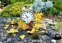 Цими вихідними Україна перейде на зимовий час