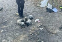 Незаконний улов: на Павлоградщині рибалка сітками ловив рибу