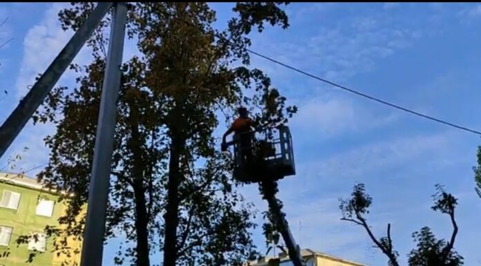 Screenshot_2025-10-29-11-19-05-649_org.telegram.messenger-edit