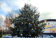 Бути чи не бути: мешканців Павлограда закликали вирішити долю новорічної ялинки