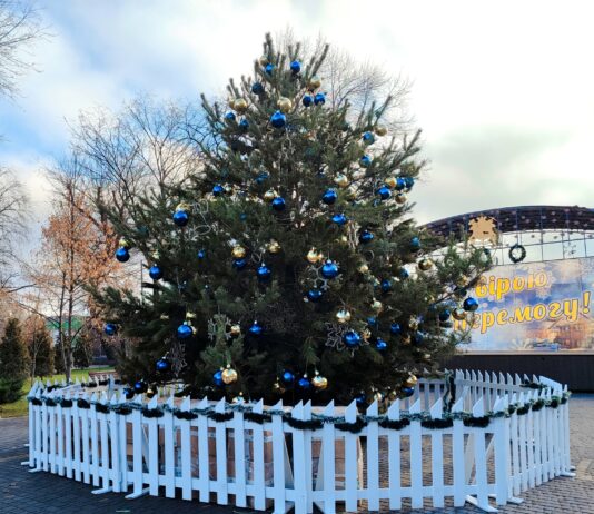 Бути чи не бути: мешканців Павлограда закликали вирішити долю новорічної ялинки