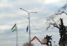 У центрі Павлограда прибрали старі ялинки