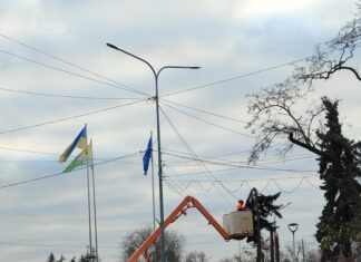 У центрі Павлограда прибрали старі ялинки