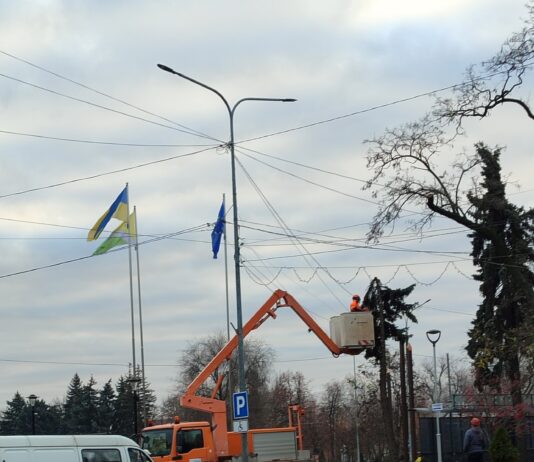 У центрі Павлограда прибрали старі ялинки