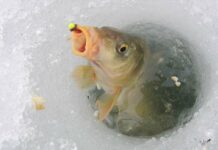 На Дніпропетровщині заборонили вилов риби на зимувальних ямах