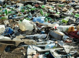 Павлоградська громада — серед лідерів з ліквідації несанкціонованих звалищ