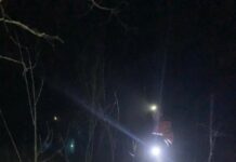 Поліцейські з кінологами розшукали жінку з дітьми, які заблукали в лісі