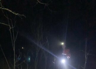 Поліцейські з кінологами розшукали жінку з дітьми, які заблукали в лісі