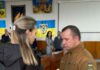 У Павлограді вручили нагороди Захисникам України