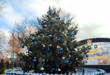 Різдвяній ялинці у Павлограді бути!