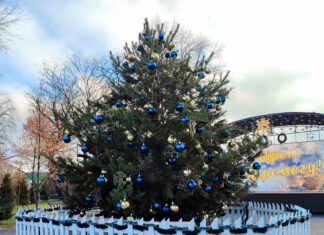 Різдвяній ялинці у Павлограді бути!