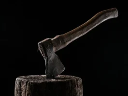 Хибний виклик: мешканка Павлоградського району повідомила поліцію, що вбила свого чоловіка сокирою