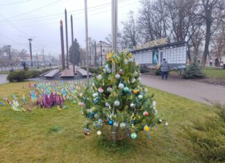 У Павлограді з’явилася Ялинка Героїв