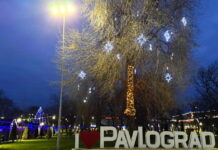 У Павлограді запалили вогники на головній ялинці міста