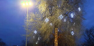 У Павлограді запалили вогники на головній ялинці міста