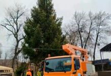 У центрі Павлограда готуються до відкриття головної ялинки міста