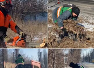 На одній із вулиць Павлограда комунальники проводять комплексні роботи з благоустрою