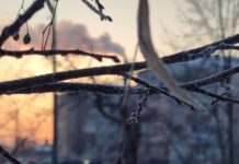 Як січневі морози вплинули на суми за опалення павлоградців?