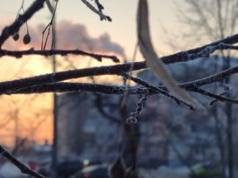 Як січневі морози вплинули на суми за опалення павлоградців?