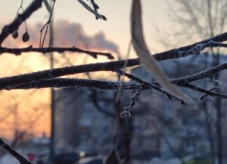 Як січневі морози вплинули на суми за опалення павлоградців?