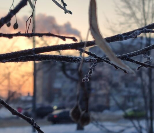 Як січневі морози вплинули на суми за опалення павлоградців?
