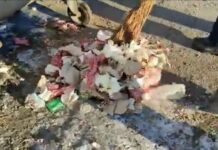 Мешканці Павлограда перетворюють зупинки на смітники