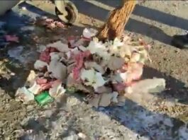 Мешканці Павлограда перетворюють зупинки на смітники