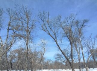Якою буде погода в Павлограді в останній тиждень зими?