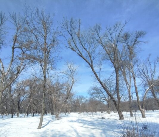 Якою буде погода в Павлограді в останній тиждень зими?
