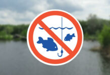На Дніпропетровщині незабаром почне діяти весняно-літня заборона на лов водних біоресурсів