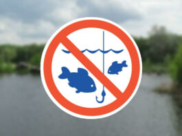 На Дніпропетровщині незабаром почне діяти весняно-літня заборона на лов водних біоресурсів