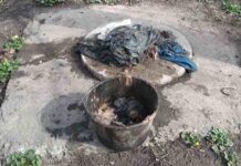 У Павлограді спостерігається зріст кількості аварій на мережах водовідведення