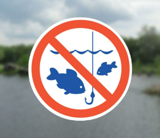 На Дніпропетровщині незабаром почне діяти весняно-літня заборона на лов водних біоресурсів