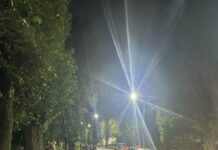 Поліція встановлює свідків смертельної ДТП у Павлограді