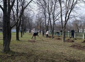 У Тернівці висадили молоді ялинки