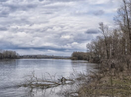 Чи загрожує підтоплення Дніпропетровщині?