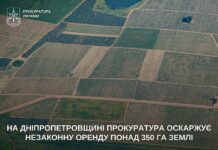 На Синельніківщині незаконно орендували понад 350 га землі